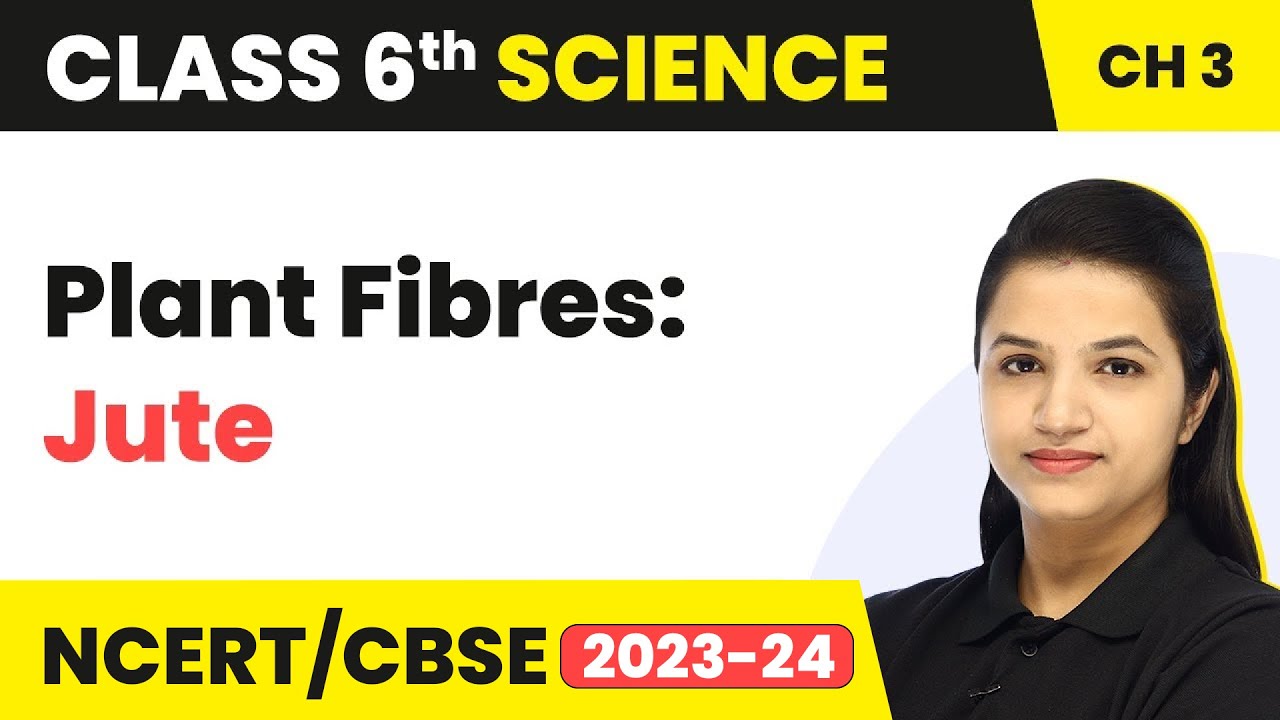 Plant Fibres: Jute | Class 6 Science Chapter 3 (2022 - 23)