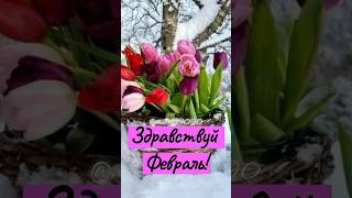 Здравствуйте Февраль #Февраль #Доброеутро #Хорошегодня