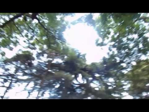 პოეტი ქეთევან დოლიძე...ვიდეო–ჩანახატი:\" პოეტური მისტერიები\"