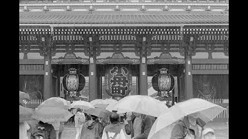 Lost Ark late start // Day 2. Bard Leveling