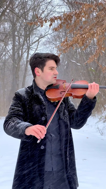 MOZART 40 - DAVID BAY