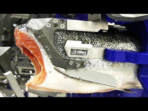 Video: ¿Cuándo se hace el salmón ahumado?