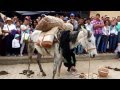 Festival de la arriería en Tibaná, Boyacá,Colombia