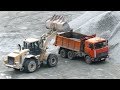 Самосвал МАЗ-5516 на погрузке CAT 972H