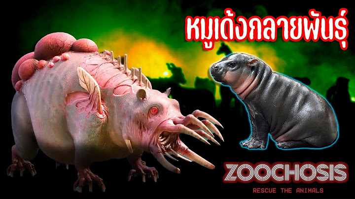 10 สัตว์สยอง Zoochosis #หมูเด้งกลายพันธุ์ | OKyouLIKEs