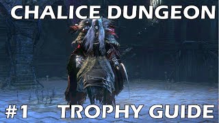 Bloodborne Chalice Dungeon Trophy Walkthrough | Part 1 - Pthumeru and Central Pthumeru Chalice