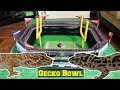 GECKO BOWL!! LEOPARD GECKOS PREDICT SUPERBOWL LII