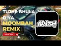 Tujhe bhula diya moombah chill remix  avish679 x dj kriiz