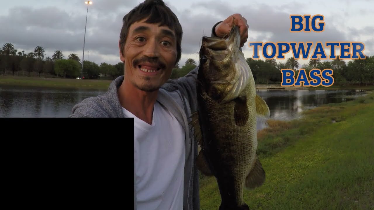 Alligator 🐊 stalks me! While I catch a BIG BASS!