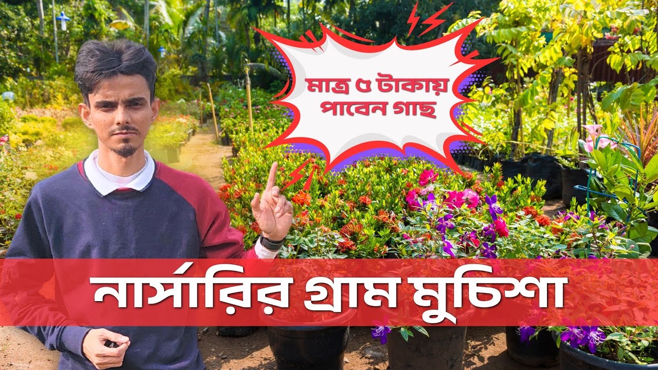 Nursery village of West Bengal | nursery village Muchisha | নার্সারির গ্রাম মুচিশা
