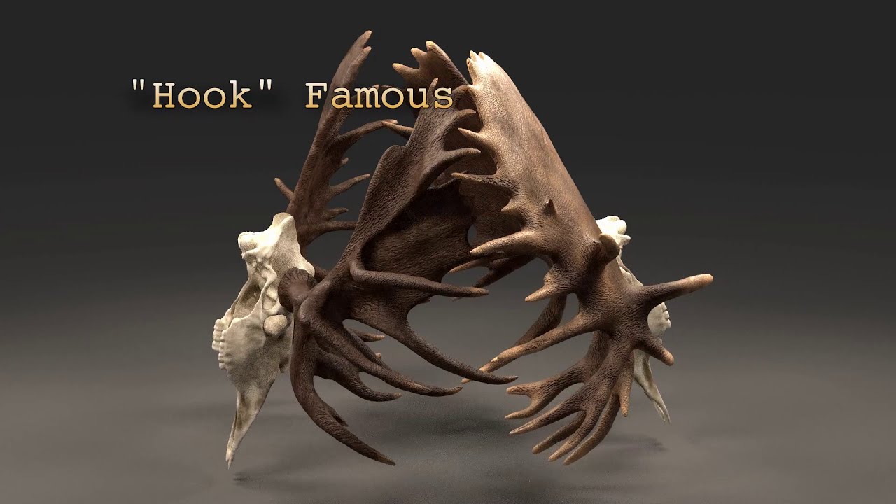 2015 and 2016 Hook Alaskan Moose Rack Compare - YouTube