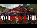 Мухоморный Трип Репорт. Умер при жизни. Bad trip