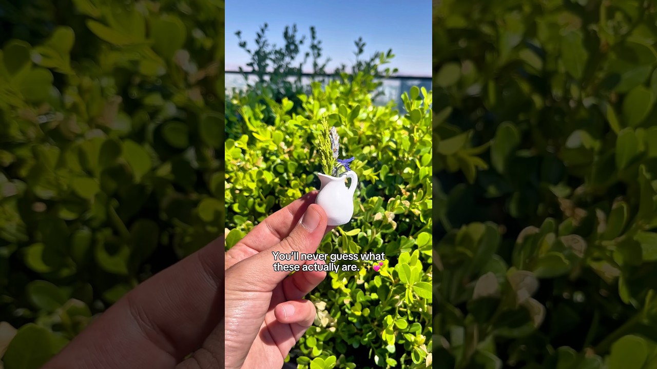 Welcome to my tiny garden 🪴 💕 