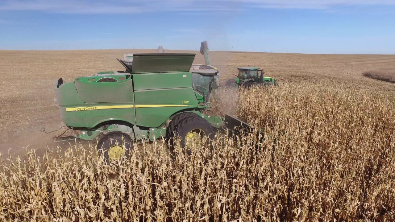 Harvesting Corn in North Dakota YouTube