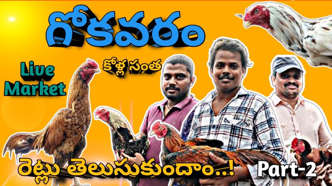 గోకవరం కోళ్ల సంత Part 2 🐔 | సంక్రాంతి కోళ్ళ రేట్లు | LIVE మార్కెట్ వీడియో