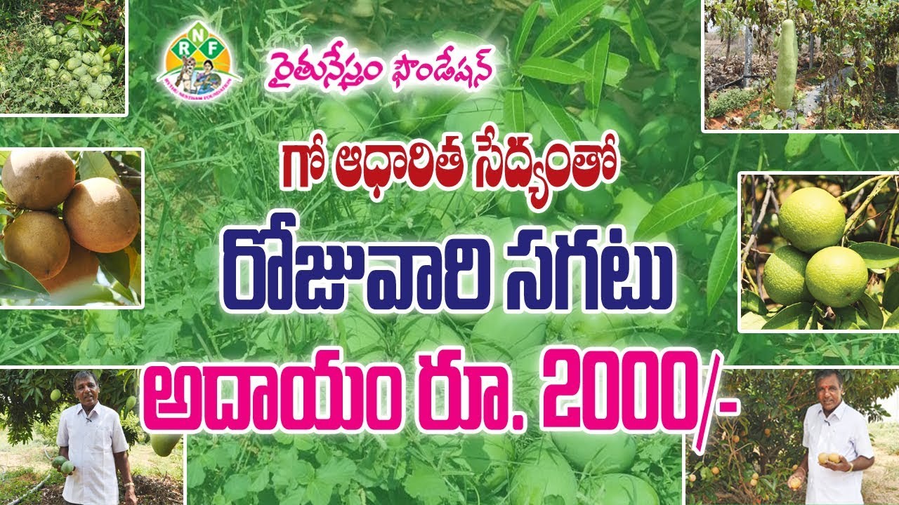 Cow Based Farming-Average Daily Income Rs.2000 ||గో ఆధారిత వ్యవసాయంతో రోజుకి రూ. 2 వేల ఆదాయం