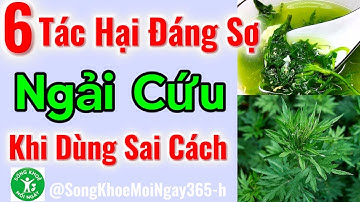 Ngải Cứu Có Thật Sự Tốt? Sự Thật Gây Sốc Về Tác Dụng Phụ Ít Ai Biết!#songkhoe #dinhduong #health