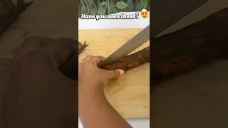 Kohila Cutting Youll Love The Inside Pattern