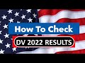 How To Check DV Lottery Results and Next Process After