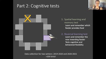 Social dominance and spatial cognition in wild food-caching birds [Virginia K. Heinen]