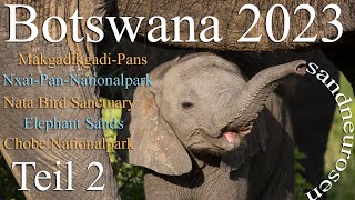 Botswana 🐘 2023, Teil 2, Makgadikgadi-Pans, Nxai-Pans, Nata Bird Sanctuary, Elephant Sands, Chobe-NP