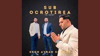 Amar Sainea SUB OCROTIREA TA SUNT