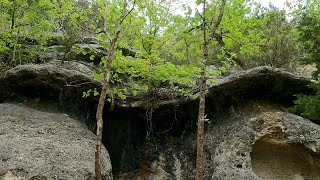 Hiking East and East-West Trails in Lost Maples State Natural Area