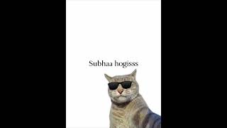 goods mornings 🌄 | #typography #funny #youtube #fontstyle #memes