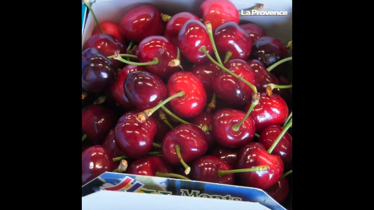 La Cerise des Monts de Venasque