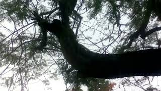 Clima Tempo Rj 20 de julho muita chuva agora no Rio