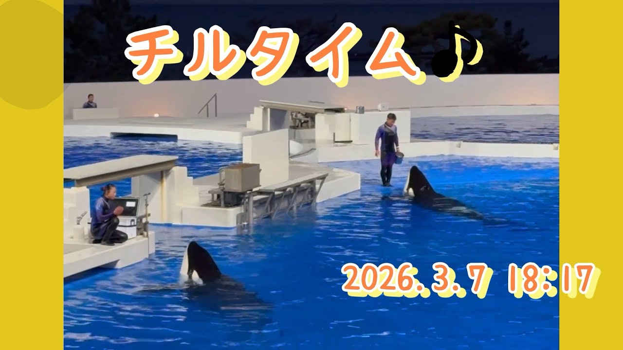 チルタイム♪ 2026.3.7 18:17