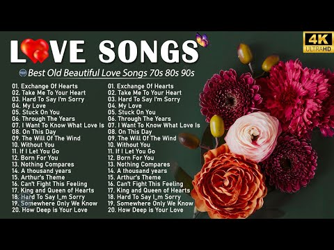 Playlist Love Songs 2024 - Romantic Love Songs About Falling In Love 