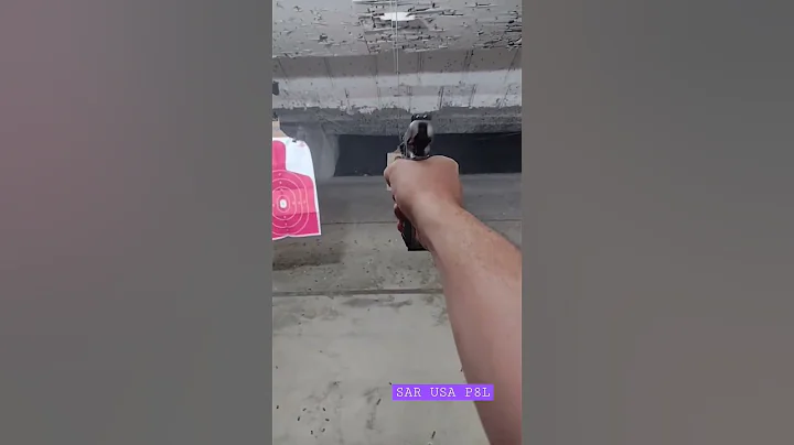 SAR USA P8L My New second pistol