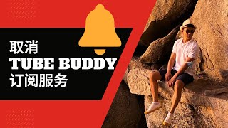 3分钟教你如何正确的取消tube buddy订阅服务  早看本期内容少走冤枉路 （how to cancel tubebuddy subscription）EP. 06
