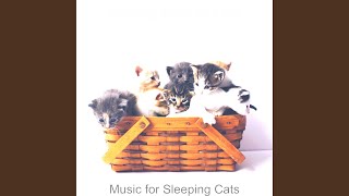 Sumptuous Music for Calming Kittens