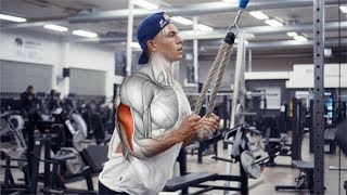 BIG ARMS WORKOUT | ANATOMY GUIDE