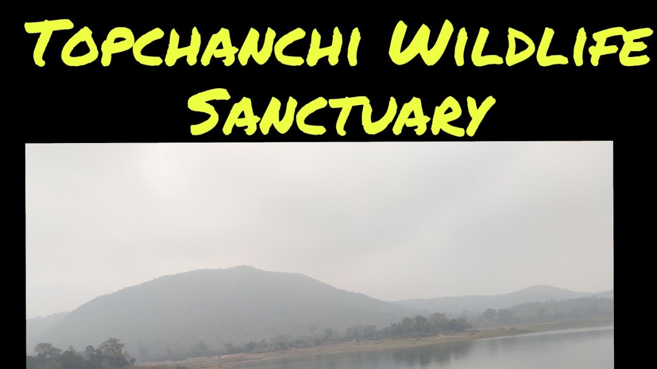 Topchanchi Topchanchi Wildlife Sanctuary | Waterboard Dam | Dhanbad - YouTube