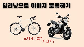 딥러닝 이미지 분류 모델 만들기 실습