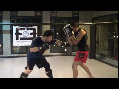MMA Quick Bites
