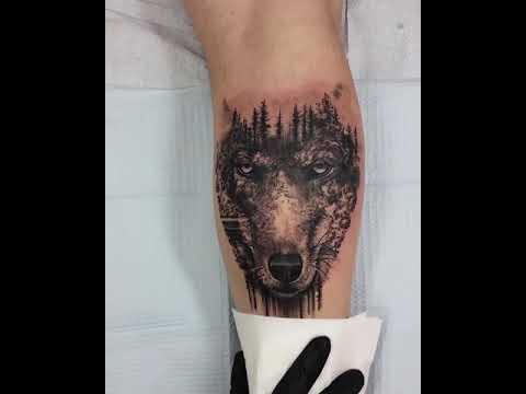 اربيل عين كاوه