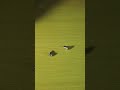 Magnetize/Demagnetize in Seconds #tips