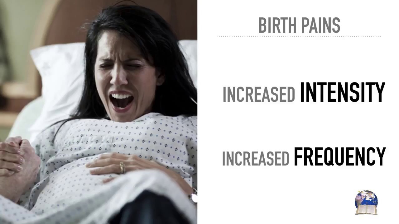 Prophecy Spotlight: Mass Animal Deaths - Nicolas Chinchurreta