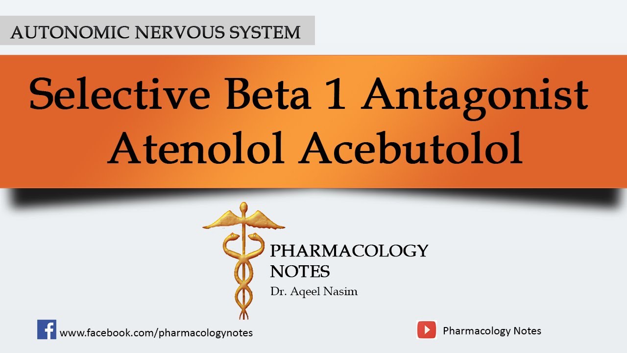 Selective Beta 1 Antagonist Atenolol Acebutolol YouTube