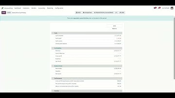 Odoo17 Financial Reports: Currency Filter | Account Report in Multiple Currencies | Account Reports