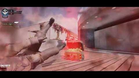 Capture The Flag (Map- RAID)