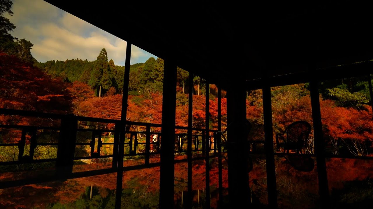 Over 10,000 vibrantly colored maple trees reflected on the tables