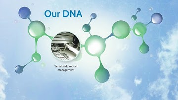 Workz Group - Our DNA (Prezi)