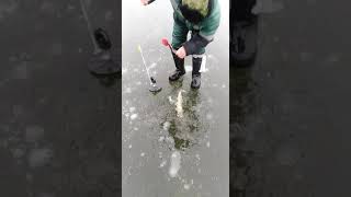Зимняя рыбалка Московская область р н жестелево 