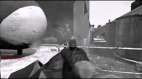 DayZ Standalone Double Kill