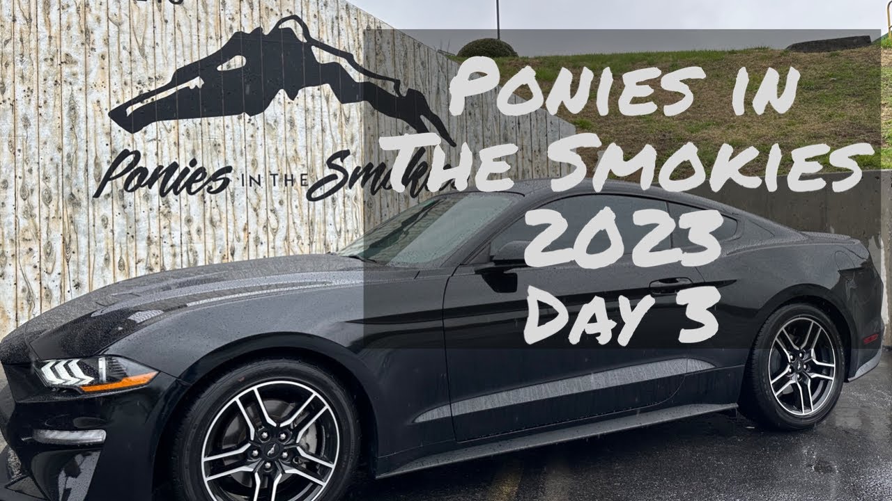 Ponies in the Smokies Day 3 Highlights March 22nd, 2023 YouTube